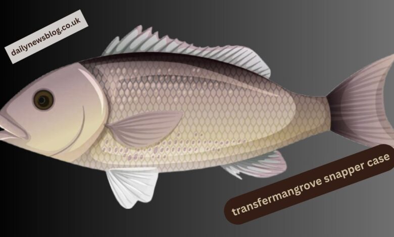 mangrove snapper