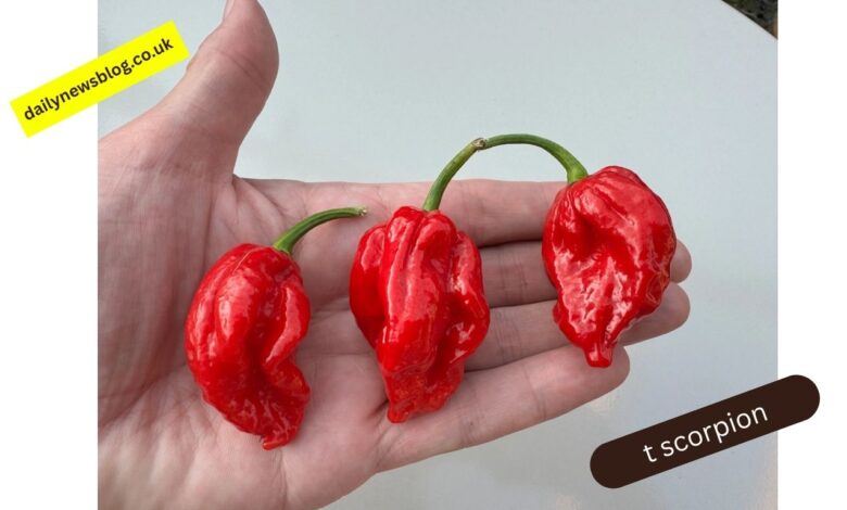 t scorpion