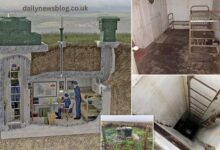 Bunkers for Sale UK