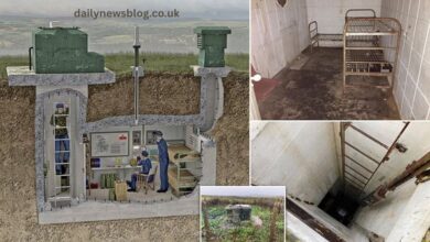 Bunkers for Sale UK
