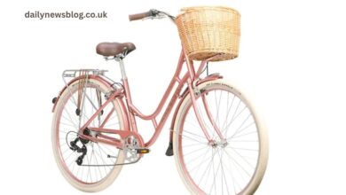 Raleigh Willow