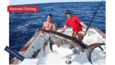 Swords Fishing