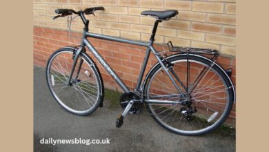 Velocity Ridgeback