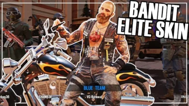 What We Know: Basic Profile of Main_ace