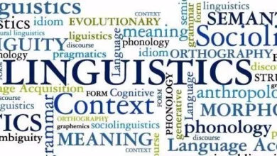 What Could “Polygarasis” Be? Possible Interpretations