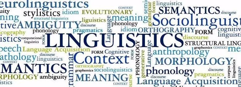 What Could “Polygarasis” Be? Possible Interpretations