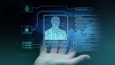 Skaipi: The Rising Name in the Digital Age