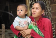 What is VietMom?