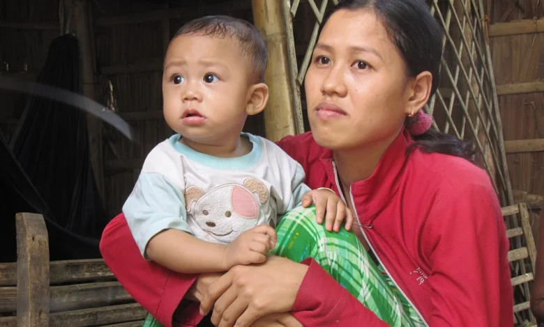What is VietMom?