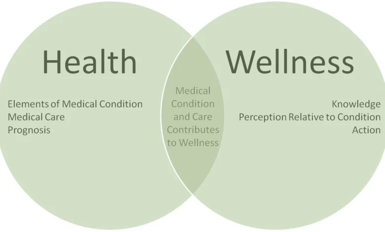 What Is Candizi? Two Competing Identities