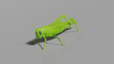 Grasshopper Budo Shape 2022