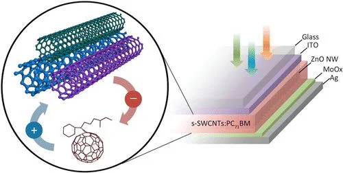 Why Single-Walled Carbon Nanotubes Are Essential in Solid-State Batteries?