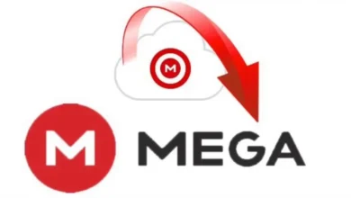 https ://mega.nz/file/7nywwjia
