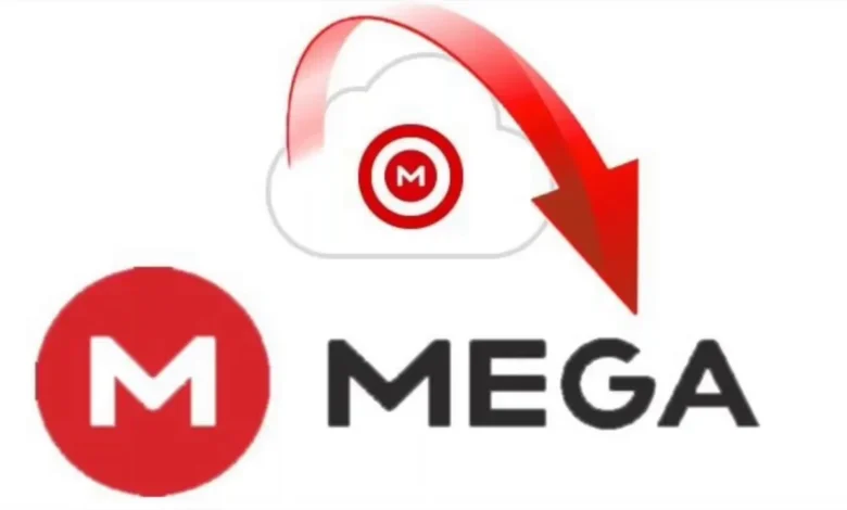 https ://mega.nz/file/7nywwjia