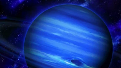 Neptune 17.10312.0000